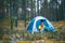 Young beautiful woman with a tent in the forest, camping, solo travel, nature concept