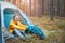 Young beautiful woman with a tent forest, camping, solo travel, nature concept