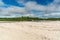 Young beautiful woman walking on the beach sand towards the trees and the mangrove