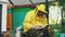 Young beekeeper man write in notepad checking harvest while sitting near beehives