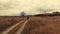 Young biker cycling on a dirt field road