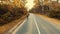 Young biker cycling on a road with a scenic autumn forest