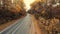 Young biker cycling on a road with a scenic autumn forest