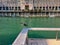 Young Black-Crowned Night-Heron, an endangered species, perched on ledge of wooden pier while visiting Chicago