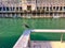 Young Black-Crowned Night-Heron, an endangered species, perched on ledge of wooden pier while visiting Chicago