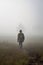 young black farmer in a foggy early morning rural landscape.