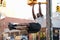 Young black man doing pull ups from crossing light in street