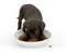 Young black puppy eating a bowl of food