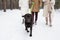 Young black retriever on leash walking on snow with his owner and two girls