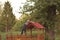 Young blond boy leaning on the red roof top playground house