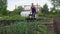 Young blond muscular farmer cultivates ground soil with rotary mini tiller.