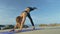 Young Blond Woman Holds Balance in Assana on Beach