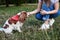 Young blond woman, kneeling down, holding her dog`s paw in park in summer. Dog owner training her Cavalier king charles spaniel