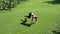 Young blond woman with a slender figure is engaged in gymnastics at public park. She makes a run in place fitness