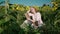 a young blonde girl in a sunflower field reads a book, looks around, waits