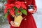 Young blonde-haired woman in red coat holding cute snowman coffee cup and Poinsettia plant