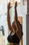 Young blonde woman looking up with her hands rise up doing yoga pose in her bedroom. Vertical photo. Body positive. Spring