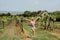 Young blonde woman posing in the vineyards in the summer season. Outdoor farmer countryside style