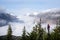 Young blonde woman standing among several evergreen trees overlooking the Salmon Glacier on a foggy morning in the Boundary Range