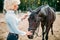 Young blonde woman take caring for brown horse