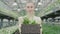 Young blurred smiling woman stretching basket with flowers to camera. Portrait of young slim confident Caucasian worker