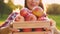 Young blurred woman in casual clothes holds a wooden crate with apples