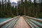 Young boy biking the Berg Lake Trail to Kinney Lake, near Mount