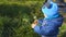 Young boy blowing dandelion seeds, slow motion