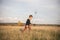 Young boy with butterfly net walking meadow. Child playing catching insects. Seasonal summer activity for kids outdoor. Learning