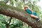 Young boy Child climbs a tree. Cute kids boy climbing in park.