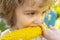 Young boy eating corn on the cob. Autumn lifestyle. Homegrown organic food. Vegan children nutrition.