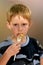 Young boy eating french fries