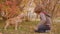 Young boy feeding cocker spaniel on walk in autumn park. Happy teen boy training and playing with dog on fallen leaf in