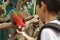 Young boy feeding parrot from the hand