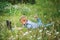 Young boy in field with dandelions with a laptop