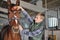 Young boy is grooming the horse