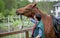 Young boy during the high mounting walking meets a young horse and communicates with it, wild nature, people and animals