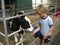 Young boy and Holstein calf