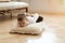 A young boy is indulging on the floor. Lies on a pillow