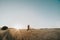 Young boy jumping in a wheat field at sunset next to the sun& x27;s rays