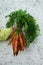 Young boy, kid child hands with homegrown harvest of carrots