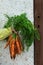 Young boy, kid child hands with homegrown harvest of carrots