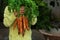 Young boy, kid child hands with homegrown harvest of carrots