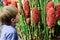 Young Boy Looking at Costus Comosus var. Bakeri - Plant