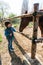 Young boy petting horse