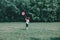 Young boy with pink butterfly net walking alone park. Child playing catching insects. Seasonal summer activity for kids outdoors.