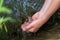 Young boy playing with clear water at a little creek using his hands and the clear water spring cooling his hands