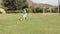 Young Boy Playing Football In Garden