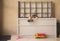 Young boy playing with his toys hiding in a storage bin