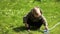 Young Boy Playing With Measuring Tape In The Backyard 02